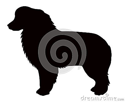 Aussie or kelpie black silhouette Vector Illustration