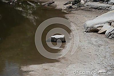 Austin Chalk rock in White Rock Creek Stock Photo