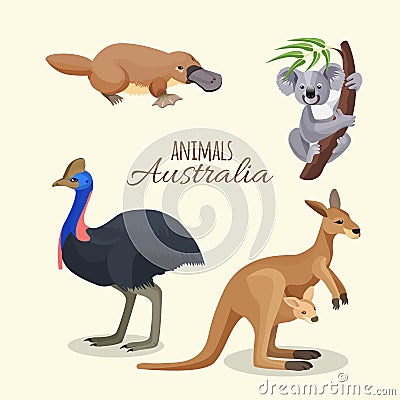 Australia animals collection of brown kangaroo, grey koala and duckbilled Vector Illustration