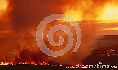 Australia: A big bush fire due to the dryness in the region Stock Photo