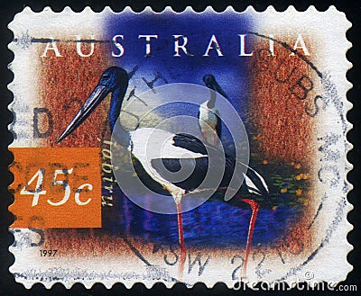 AUSTRALIA - CIRCA 1997: stamp 45 Australian cents printed in Australia shows animal bird Black-necked Stork - Jabiru Editorial Stock Photo