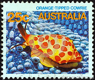 AUSTRALIA - CIRCA 1984: A stamp printed in Australia from the `Marine Life` issue shows an Orange-lipped cowrie, circa 1984. Editorial Stock Photo