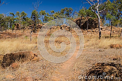 Australia, hiking in the outback, Undara Volcanic National Park Stock Photo