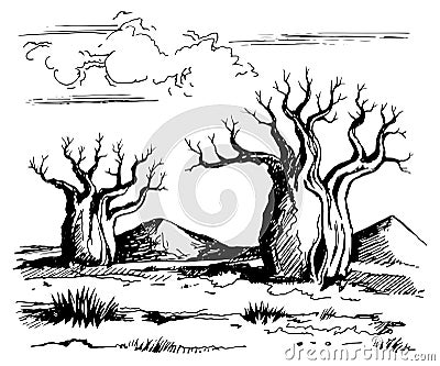 Australia landscape with baobab trees Vector Illustration