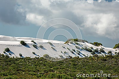 Australia sand dunes into the bush Stock Photo