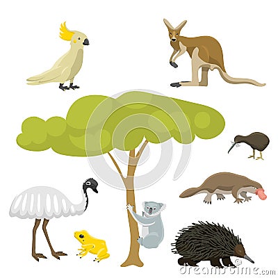 Australia wild animals cartoon popular nature characters flat style mammal collection vector illustration. Vector Illustration