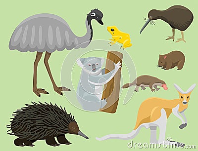 Australia wild animals cartoon popular nature characters flat style mammal collection vector illustration. Vector Illustration