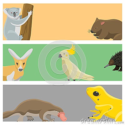 Australia wild animals cartoon popular nature characters flat style mammal collection vector illustration. Vector Illustration
