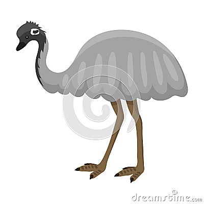 Australia wild ostrich animal cartoon character flat style bird emu forest vector illustration. Vector Illustration