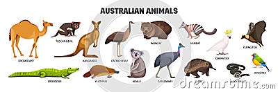 Australian Animals Set Vector Illustration