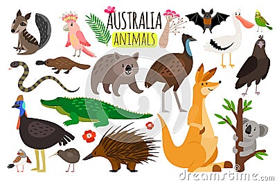 Australian animals. Vector animal icons of Australia, kangaroo and koala, wombat and ostrich emu Vector Illustration