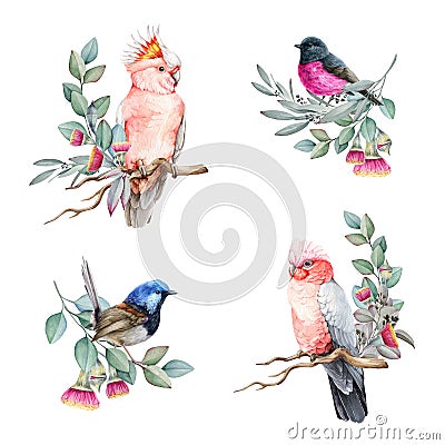 Australian birds with floral elements watercolor set. Hand drawn pink cockatoo parrot, fairy wren, pink robin with Stock Photo