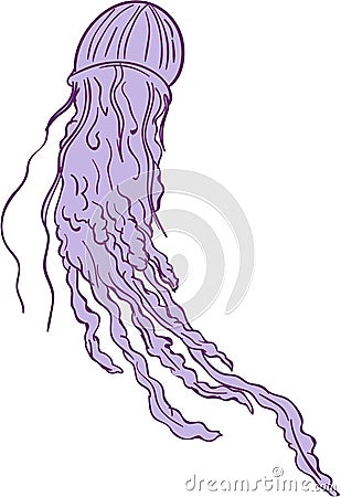 Australian Box Jellyfish Drawing Vector Illustration