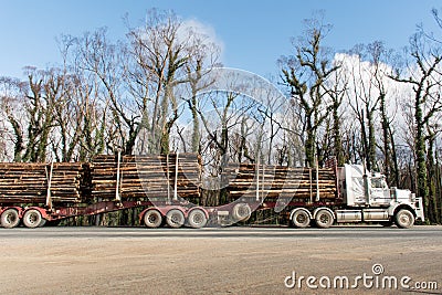 Australian bushfires aftermath: a truck with burned pines logs which was badly damaged by severe bushfires Stock Photo