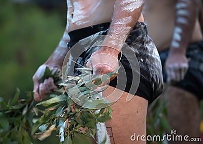 Australian Indigenous Ceremony, man's hand with branches, start a dance for a ritual rite at a community event Stock Photo