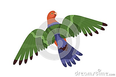 Australian King parrot flying with spread wings. Tropical bird with long tail. Exotic birdie with colorful feathers Vector Illustration