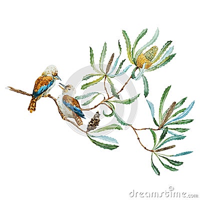 Australian kookaburra bird Vector Illustration