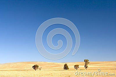 Australian Landscape Stock Photo