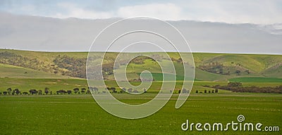 Australian landscape Stock Photo