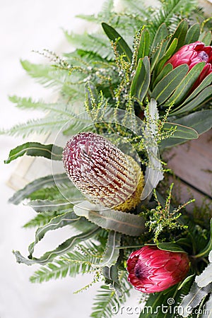 Australian Native Flowers Stock Photo