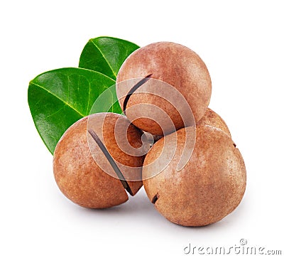 Australian not peeled macadamia nuts with two green leaves Stock Photo