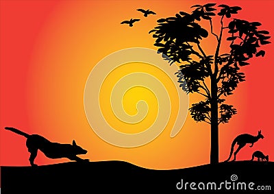 Australian outback with dingo stretching Stock Photo