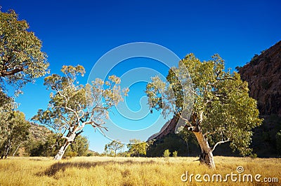 Australian Outback Landscape Stock Photo