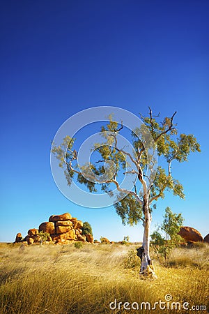 Australian Outback Stock Photo