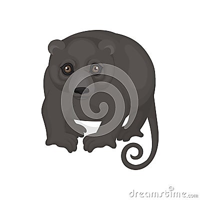 Australian phalanger. Wild marsupial animal with black fur and long tail. Fauna theme. Detailed flat vector icon Vector Illustration