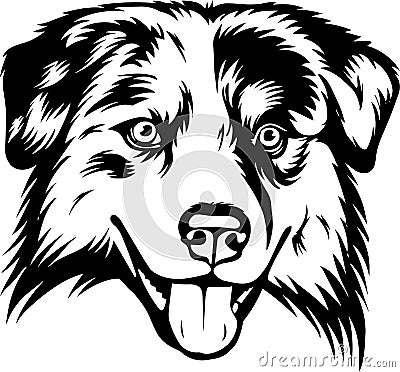 Australian Shepherd Dog Breed Isolated Pedigree Pet Puppy Head Vector Illustration