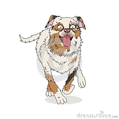 Australian shepherd dog run full body portrait Vector Illustration