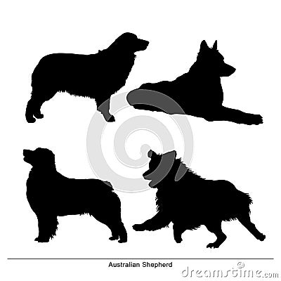 Australian Shepherd. The dog sits, posture, lies, runs, stands Vector Illustration