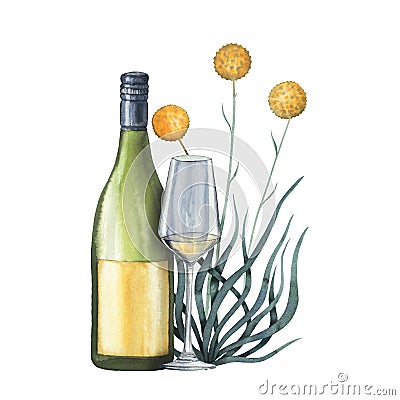 Australian wine watercolor composition with koala, eucalyptus and bottle hand drawn isolated on white Cartoon Illustration