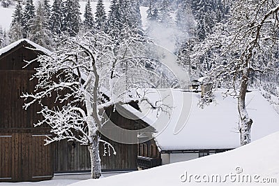 Austria, Salzburger Land, Winter scenery Stock Photo