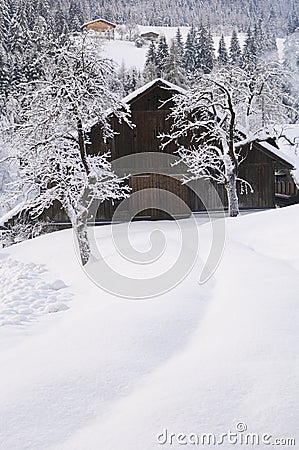 Austria, Salzburger Land, Winter scenery Stock Photo