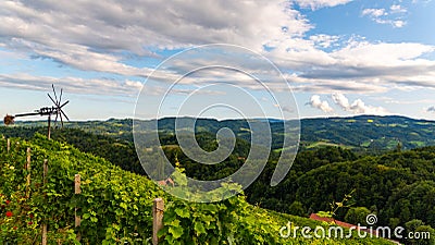 Austria, south styria travel destination. Tourist spot for vine Stock Photo