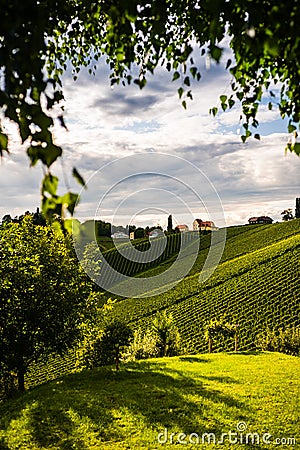 Austria, south styria vineyards travel destination. Tourist spot for vine Stock Photo