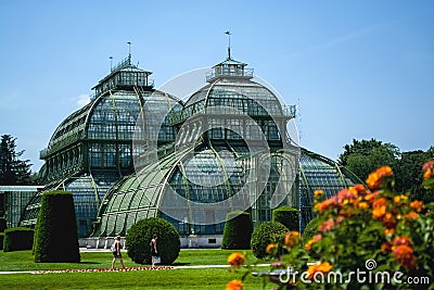 15.06.2019. Austria, Vienna. A sight and the tourist place the Schoenbrunn park and territory with gardens, greenhouse and tropica Editorial Stock Photo