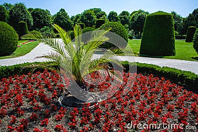 15.06.2019. Austria, Vienna. A sight and the tourist place the Schoenbrunn park and territory with gardens, greenhouse and tropica Editorial Stock Photo