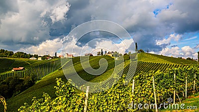 Austria Vineyards Leibnitz area south Styria travel spot Stock Photo