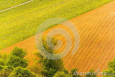 Austria Vineyards Sulztal wine street area south Styria , wine country. Tourist destination Stock Photo