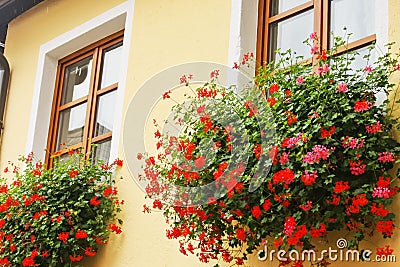 Austrian Window Box Stock Photo