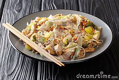 Authentic recipe for Filipino noodles pancit bichon with vegetables and meat in a spicy sauce close-up in a plate. horizontal Stock Photo