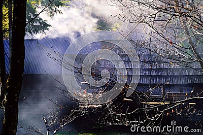 Authentic rural house in smoke against background of wild nature. Carpathian Mountains, Ukraine, copy space, Stock Photo