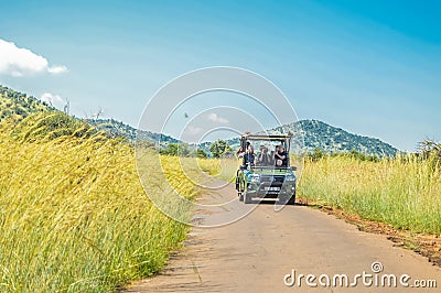 Authentic true South African safari experience in bushveld in a game reserve Editorial Stock Photo