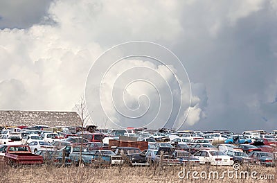 Auto wreck junk yard full of vehicles. Stock Photo