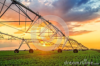 Automated farming irrigation system in sunset Stock Photo