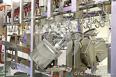 Automated line for cutting and portioning poultry carcasses Stock Photo