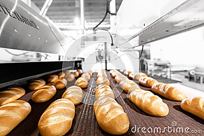 Automated production line bakery Fresh hot baked breads Stock Photo