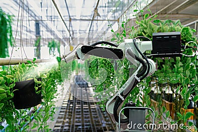 Automatic agricultural technology robot arm watering plants Stock Photo